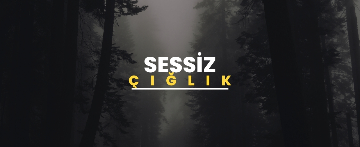 Sessiz Çığlık